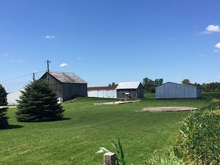 Property photo 2 - LAND AUCTION, 103+/- Acres offered in 2 Tracts in Randolph County